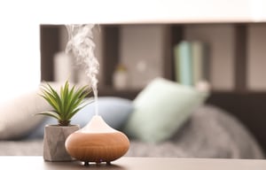 Aromatheraphy diffuser with succulent