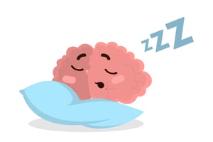 Brain Sleeping on Pillow